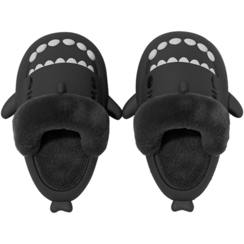 Winter Shark Slides