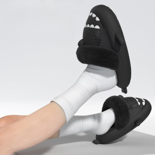 Winter Shark Slides