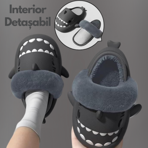 Winter Shark Slides