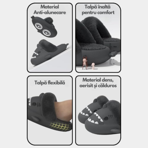 Winter Shark Slides